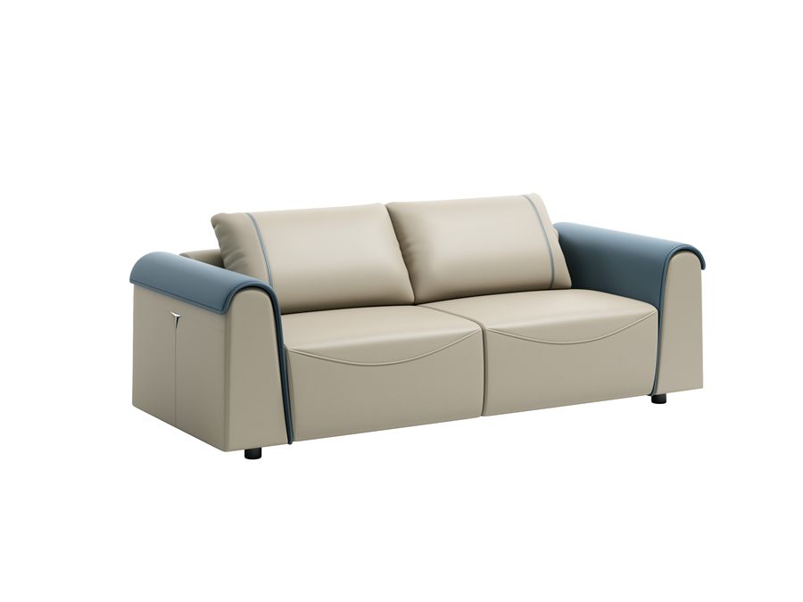 Two tone sofa